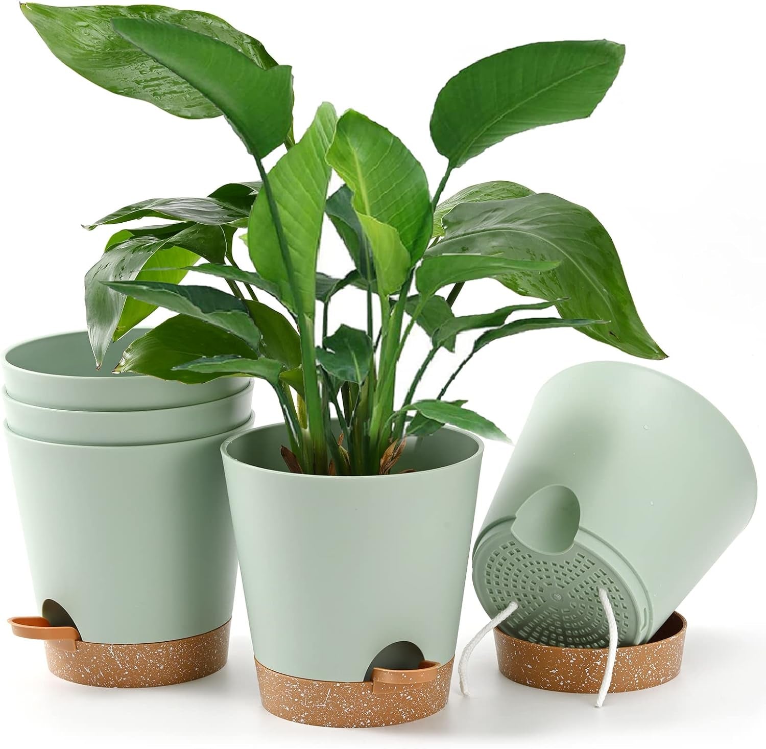 Macetas 6 Piezas Macetero con autorriego de 12,7 cm Macetero de Alto Drenaje para Interiores y Exteriores con Bandeja de depósito y Borde de Riego Macetero de jardín