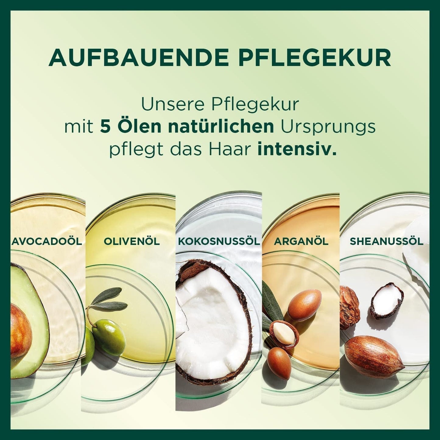 Garnier Nutrisse Color de cabello de cuidado permanente con aceites de frutas nutritivos, duración de 8 semanas, tinte ultracrema, 036 cereza negra (paquete de 2) Naty Shop Hair Color