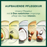 Garnier Nutrisse Color de cabello de cuidado permanente con aceites de frutas nutritivos Color de fijación de 8 semanas Tinte ultra crema 053 Marrón terciopelo (paquete de 3) Naty Shop Color de cabello