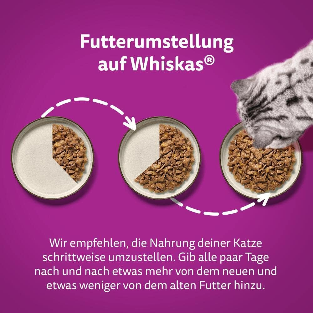 Whiskas 1+ comida húmeda para gatos con pollo en gelatina, 28x85g (1 paquete) - Comida húmeda de alta calidad para gatos adultos en sobres de 28 porciones