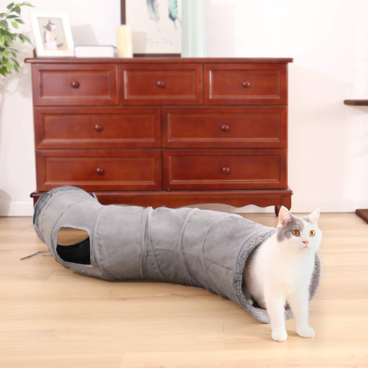 Mascotas, gatos, gatos: camas, colchones, juguetes, túneles.