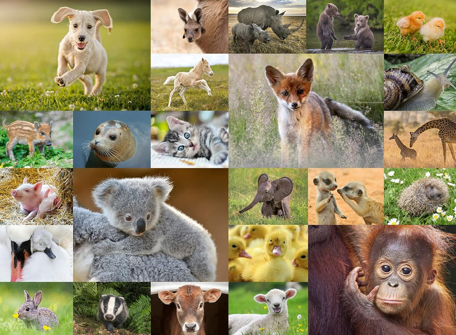 Ravensburger Puzzle para niños - 13353 Dulces animales para niños - Puzzle de 200 piezas para niños a partir de 8 años Puzzle Naty Shop