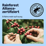 de Amazon Entkoffeinierte 100% Arábica-Kaffeepads, geeignet für Senseo-Maschinen, medium Röstung, 36 Stück (1 Packung mit 36 ​​​​Stück) – Certificado Rainforest Alliance