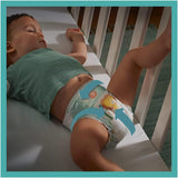 Pañales PAMPERS Baby-DRY talla 7 123