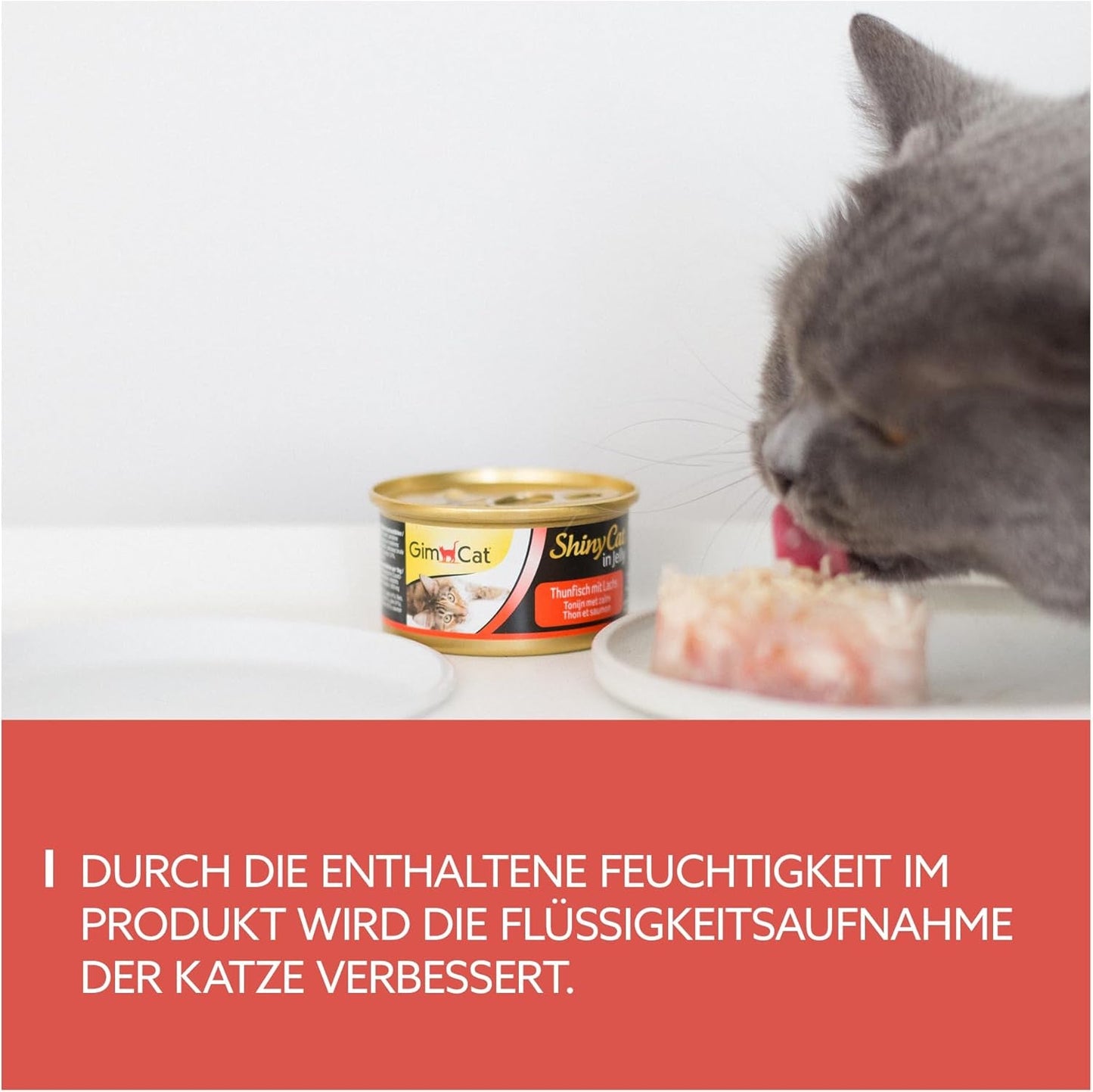 GimCat ShinyCat en gelatina Thunfisch mit Lachs - Nassfutter mit Fisch und Taurin für Katzen - 24 dosis (24 x 70 g)