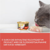 GimCat ShinyCat en gelatina Thunfisch mit Lachs - Nassfutter mit Fisch und Taurin für Katzen - 24 dosis (24 x 70 g)