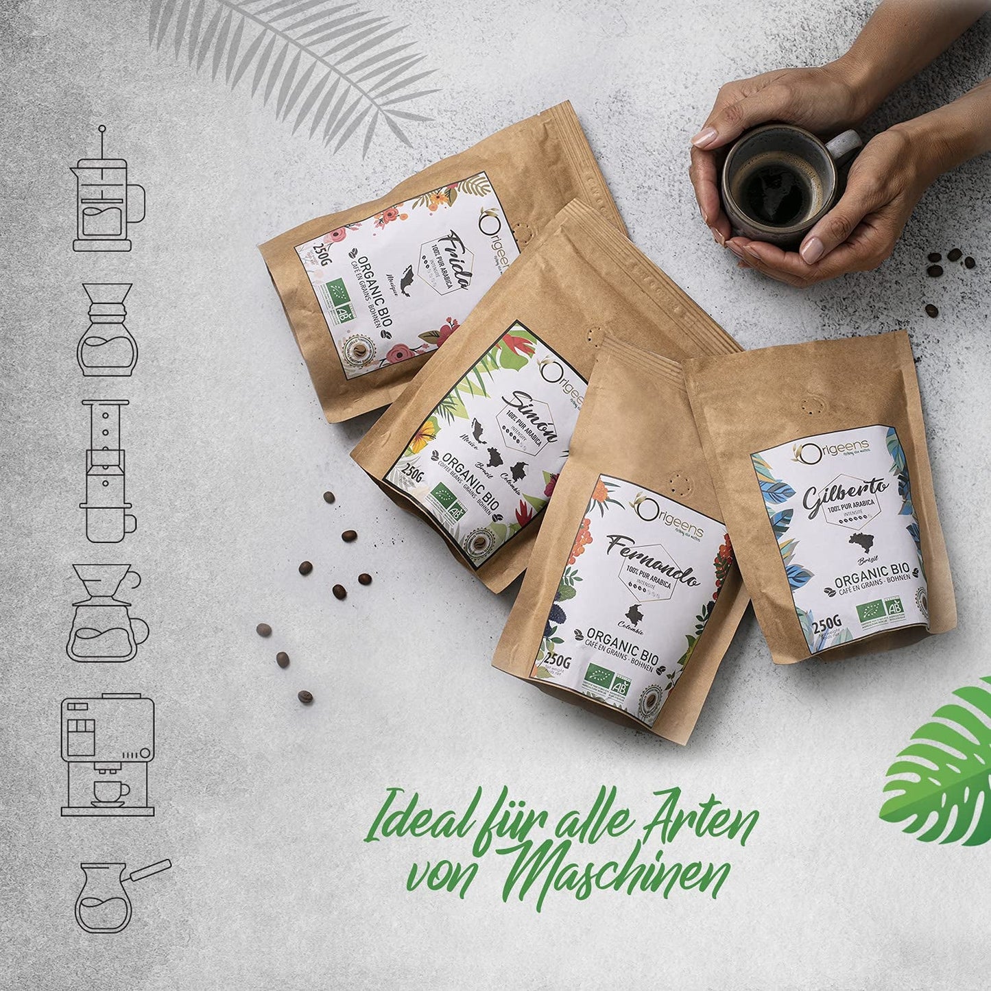 ORIGEENS Bio Café Probierset 1kg | Premium Bio Arábica Kaffee Ganze Bohnen Set 4x250g | Rostung tradicional | Kaffee Geschenkset