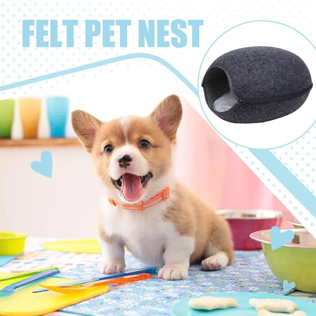Mascotas, perros, entrenamiento para ir al baño, pañales y protectores de suelo.
