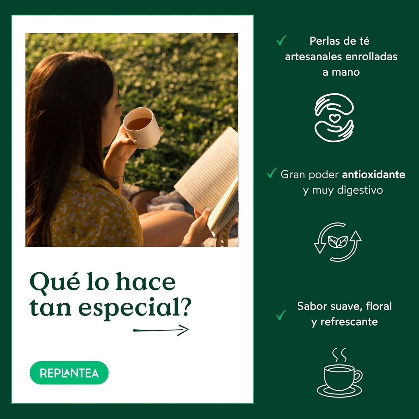 Té orgánico Jasmin Dragon Pearls (100 g) | Té verde premium en forma de perlas de jazmín enrolladas a mano | Especialidad de té con delicado aroma floral | REPLANTAR