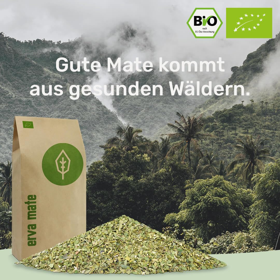 Set de degustación de Mate ● 4 variedades de Mate orgánico ● 100 g cada una Erva Mate + Yerba Mate + Mate Verde + Mate Tostado