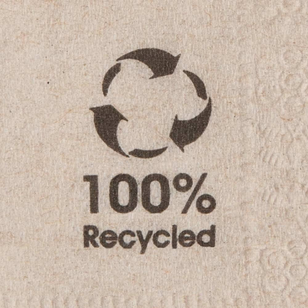 Servilletas Ecológicas Orgánicas Hechas de Papel Reciclado I Servilletas de Papel de Alta Calidad 10 X 10cm I Servilletas de Cóctel de 100 Piezas Sin Blanquear Biodegradables Compostables