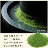 Itoen Oiocha Matcha-Iri Ryokucha - Hojas de té verde japonés - 100 g