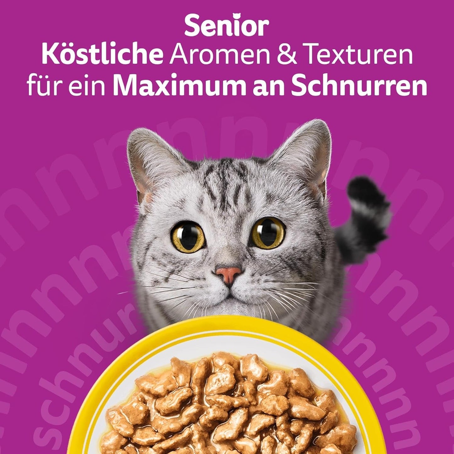 Whiskas 7+ Comida Húmeda para Gatos Selección de Aves en Salsa 24 x 85 g (2 Packs) - Comida húmeda de alta calidad a partir de 7 años en 48 bolsitas para servir