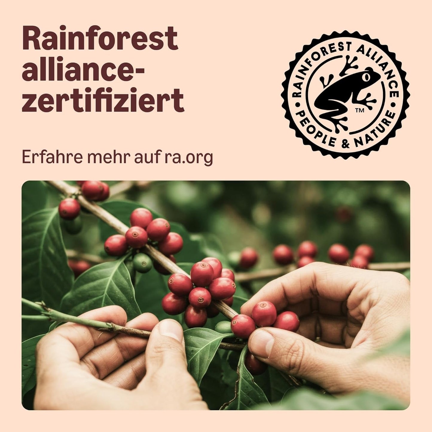 Por Amazon Heimkompostierbare Kaffeekapseln, kompatibel mit Nespresso, 100 % kolumbianischer Arábica, 20 Stück – Rainforest Alliance-zertifiziert