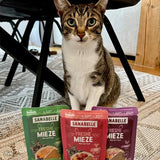 Sanabelle Freshe Mieze - Bandeja mixta | Paquete mixto de 10 x 100 g | 4 deliciosas variedades de comida para gatos para probar | Comida húmeda para gatos al vapor, como recién hecha