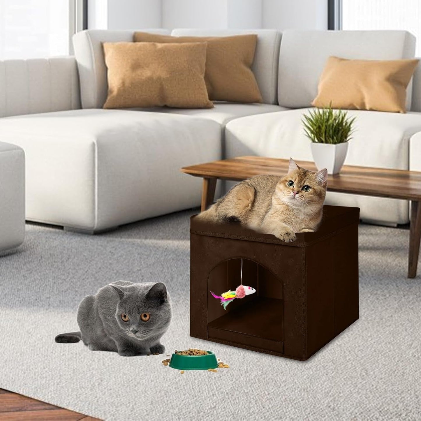 Mantas y Muebles, Mascotas, Casas y Cuevas, Gatos, Camas para gatos, Gatos - camas, colchones