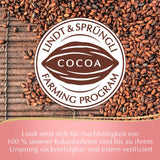 Conejito dorado de chocolate Lindt | El conejito dorado 100g | Chocolate con leche premium de conejito de Pascua | Chocolate de Pascua | Regalo de chocolate | El conejito de chocolate | el conejito de pascua