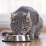BEAPHAR - Dieta renal con pollo - Alimento completo para gatos con insuficiencia renal crónica - Para apoyar la función renal - 100 g
