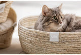 Camas, mantas y muebles, mascotas, gatos, camas para gatos, Gatos - camas, colchones