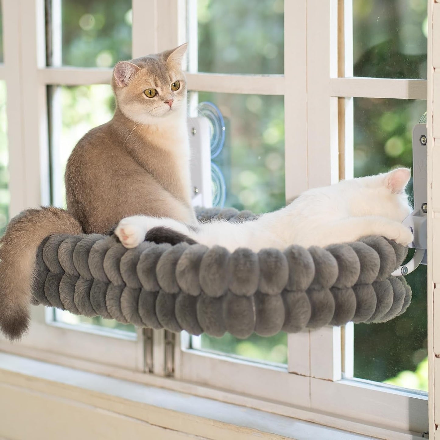 Camas, mantas y muebles, mascotas, gatos, camas para gatos, Gatos - camas, colchones