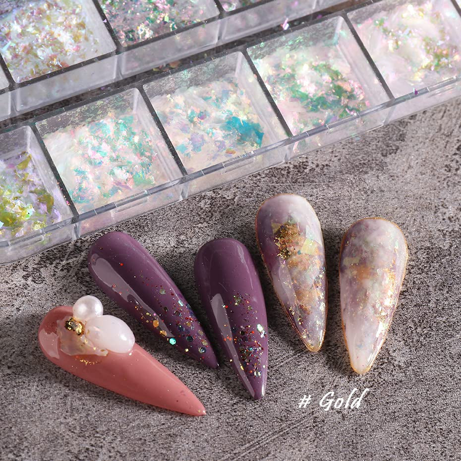 JMEOWIO Nail Glitter 12 rejillas Aurora Nail Art accesorios de decoración diseño de uñas