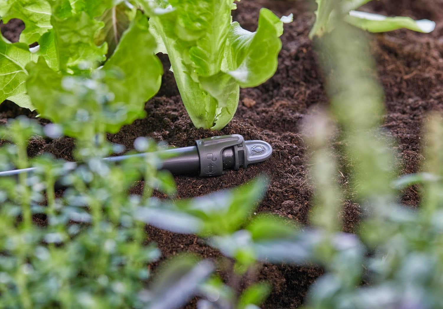 Tapón de sellado Gardena Micro-Drip-System de 13 mm (1/2 pulgada): cierre práctico para tubos de 13 mm, tecnología de conexión rápida y sencilla, reutilizable (13205-20)