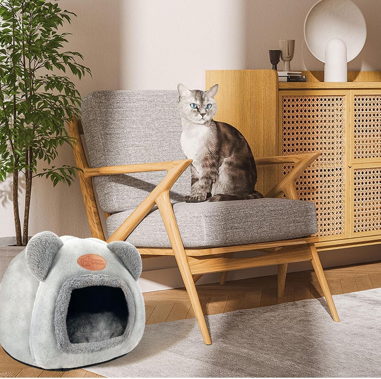 Mantas y Muebles, Mascotas, Casas y Cuevas, Gatos, Camas para gatos, Gatos - camas, colchones