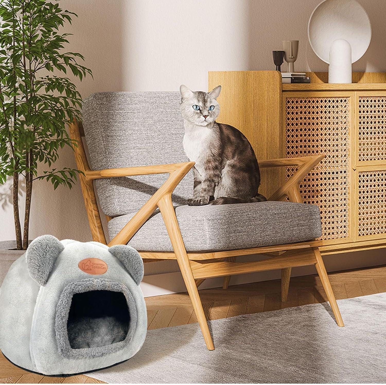 Mantas y Muebles, Mascotas, Casas y Cuevas, Gatos, Camas para gatos, Gatos - camas, colchones