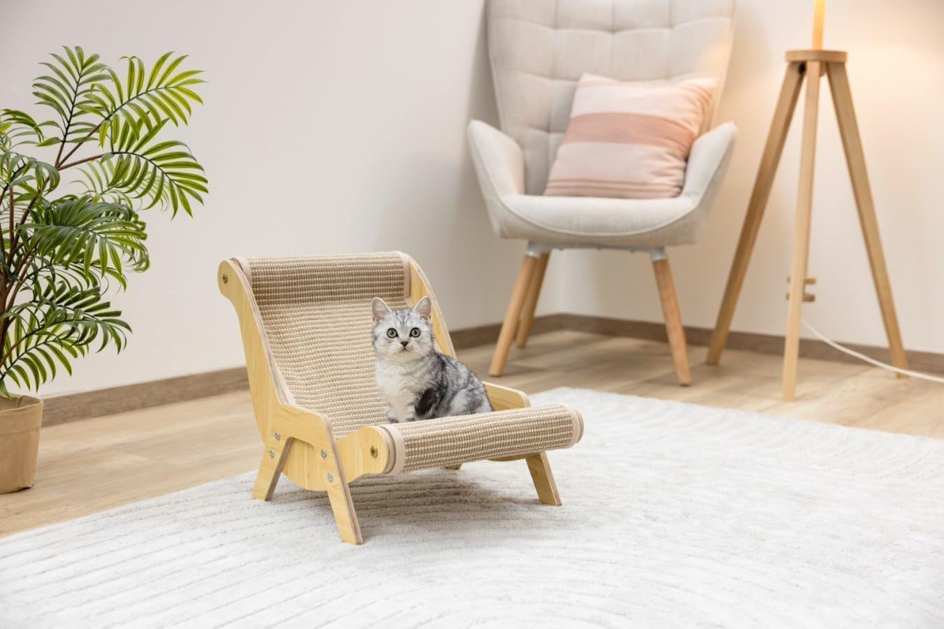 Mantas y Muebles, Mascotas, Gatos, Camas para gatos, Rascador, Gatos - Camas, Colchones