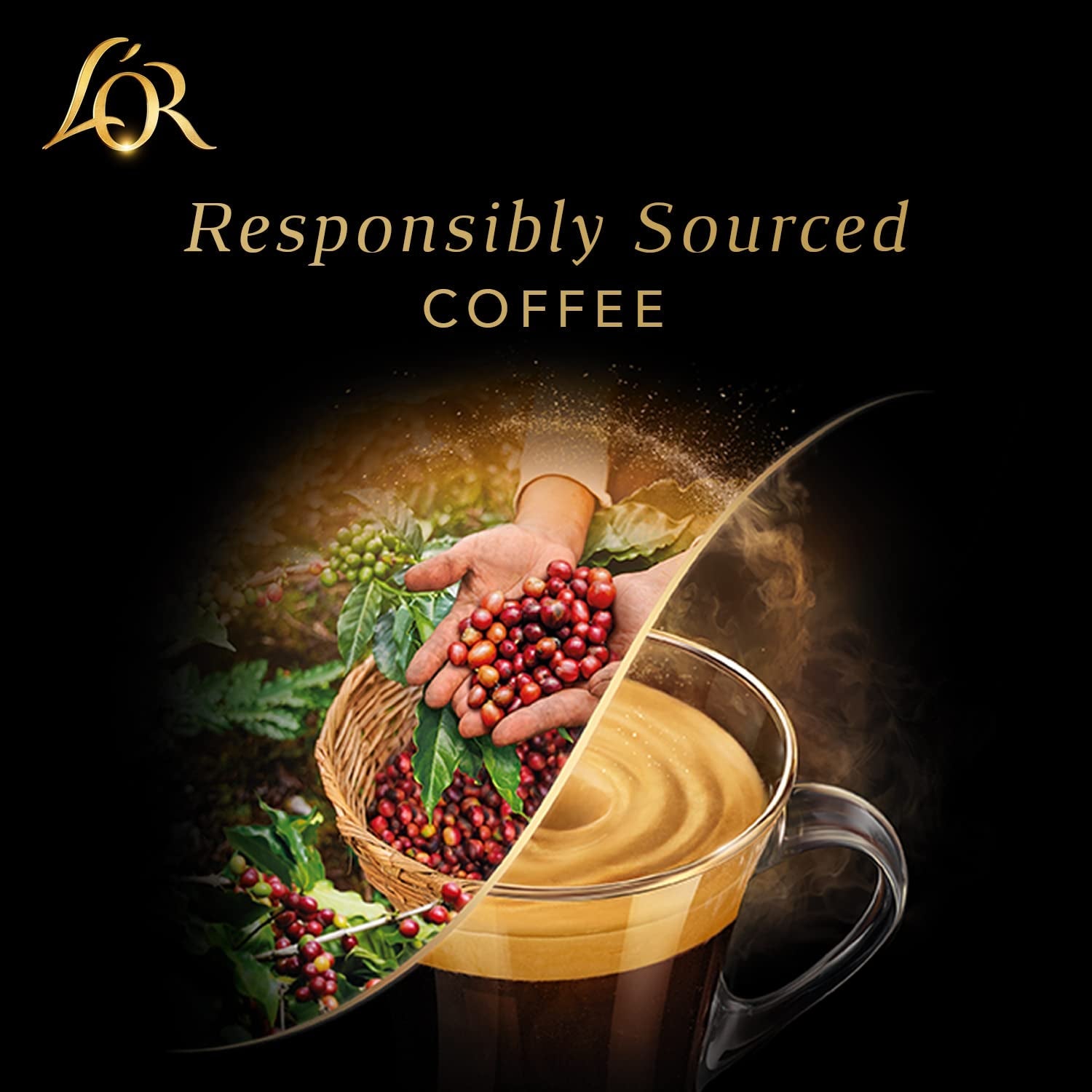 L'OR Barista Kaffeekapseln Ristretto, exclusivo para L'OR Barista Maschinen, paquete de 5, 5 x 10 Kapseln