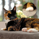 Mantas y muebles, Asientos para ventanas, Mascotas, Gatos, Camas para gatos, Gatos - camas, colchones