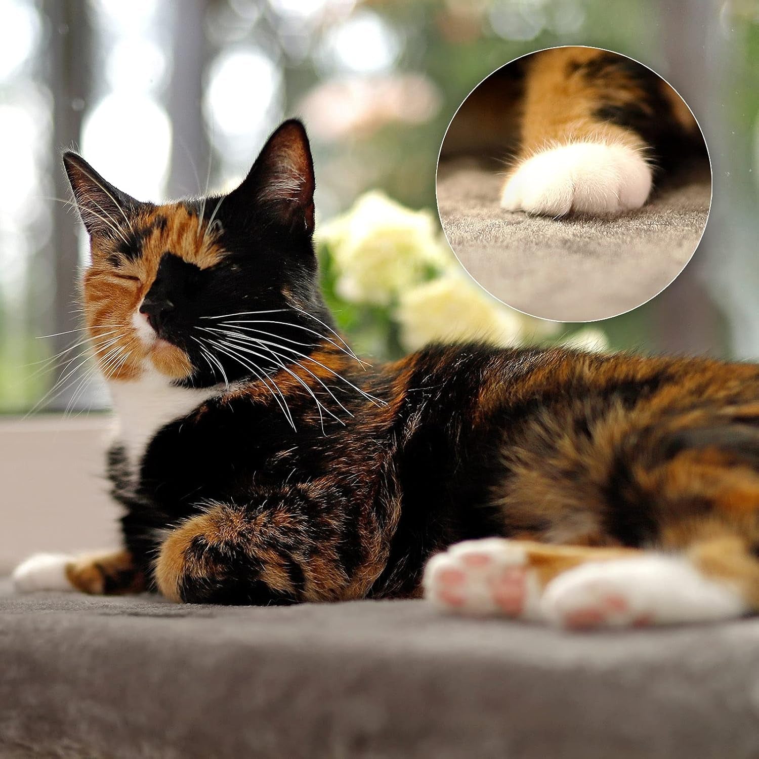Mantas y muebles, Asientos para ventanas, Mascotas, Gatos, Camas para gatos, Gatos - camas, colchones