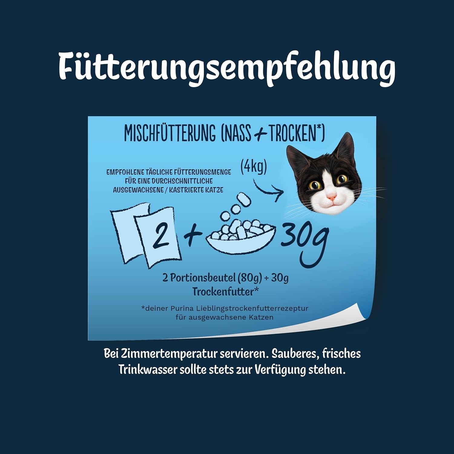Felix Delicious Comida húmeda para gatos en lonchas en gelatina, variedad de sabores a partir de agua, paquete de 6 (6 x 10 sobres de 80g cada uno)