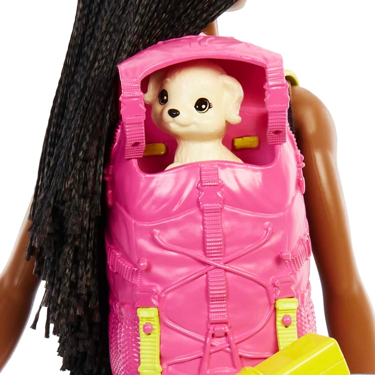¡Muñeca Barbie HDF74 en paquete doble! Muñeca Brooklyn Camping (Morena con coletas trenzadas, aprox. 29 cm) con cachorro, mochila, saco de dormir, 10 accesorios de camping, regalo para niños a partir de 3 años