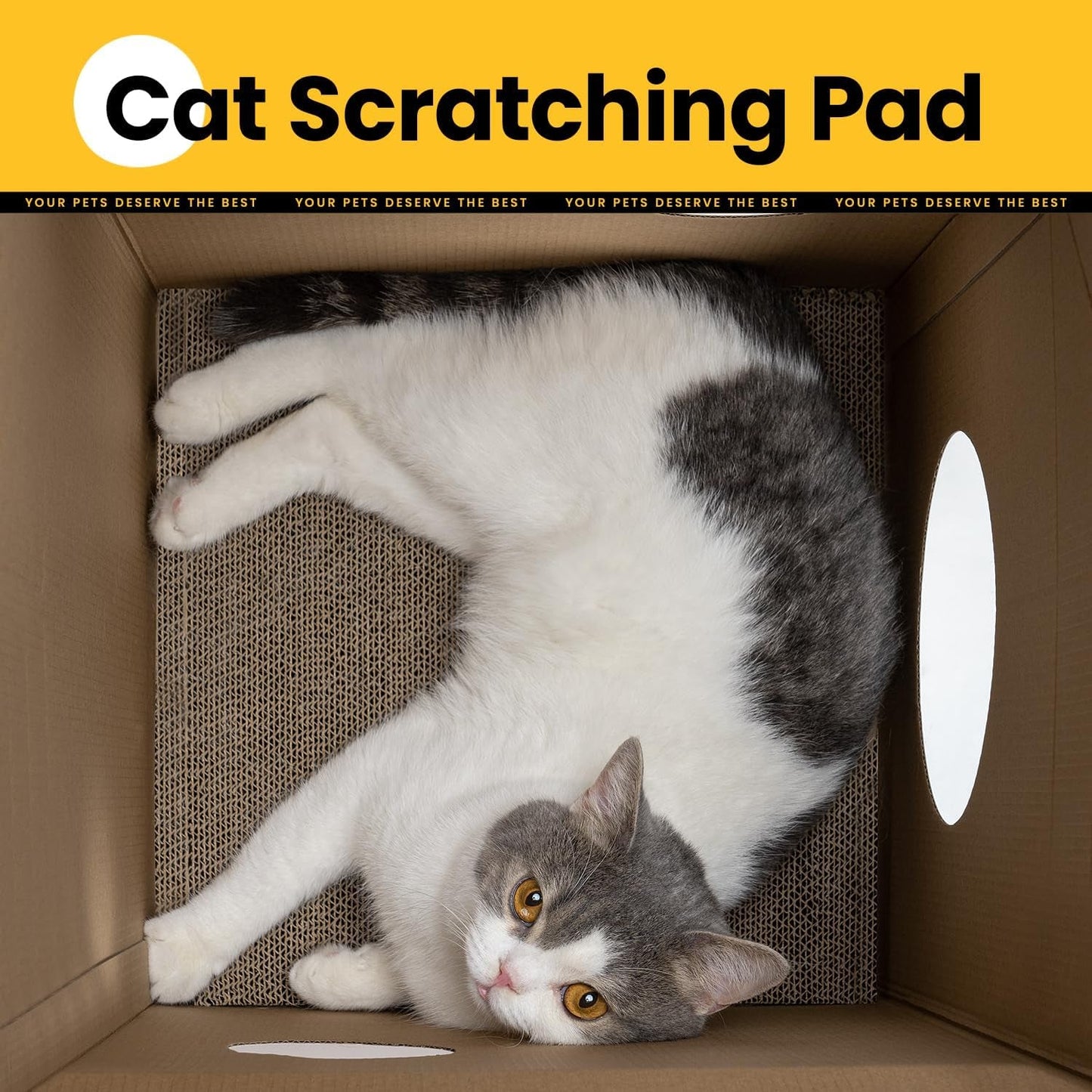 Mantas y Muebles, Mascotas, Casas y Cuevas, Gatos, Camas para gatos, Gatos - camas, colchones