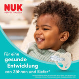Chupetes NUK Perfect Match Air para bebés | 6-18 meses | Chupetes de ortodoncia que favorecen la circulación del aire y previenen erupciones provocadas por la saliva | 95% de aceptación por parte de los bebés** | Winnie the Pooh de Disney | Paquete de 2