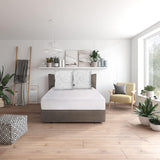 Juego de almohadas básicas Traumnacht Green compuesto por dos almohadas de 80 x 80 cm, certificado Oeko-Tex, producidas según el estándar de calidad alemán Naty Shop almohadas estándar de 80 x 80 cm