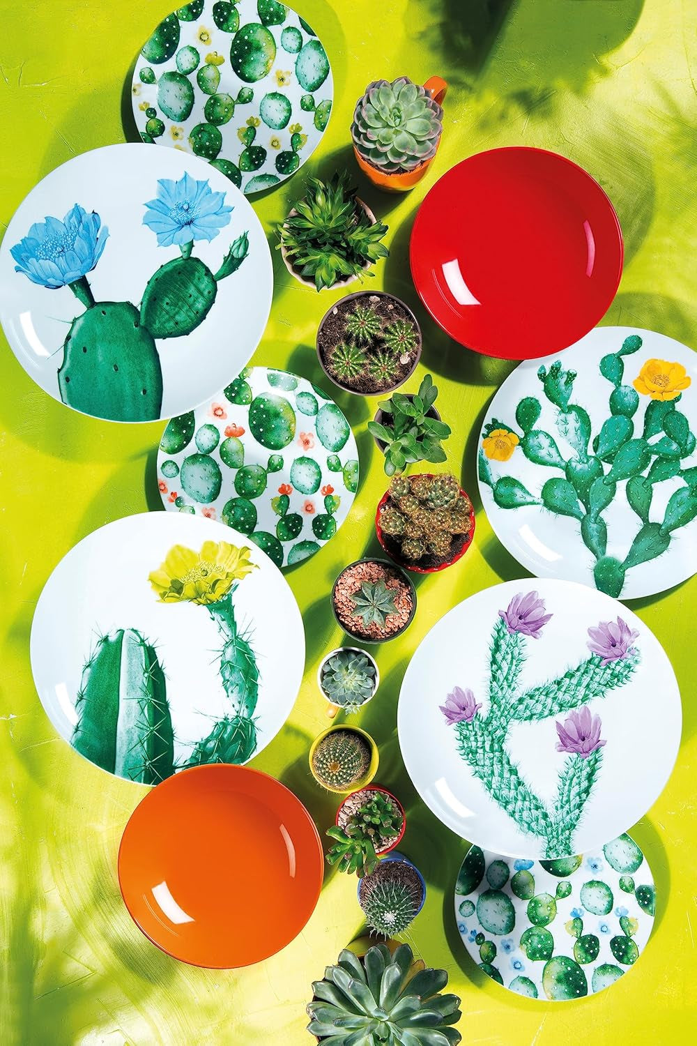 Excelsa Vajilla Color Cactus, 18 piezas, multicolor