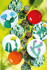 Excelsa Vajilla Color Cactus, 18 piezas, multicolor
