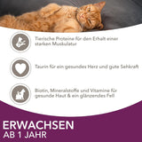 IAMS Delights Land & Sea Collection Comida Húmeda para Gatos - Surtido de Carne y Pescado Multipack en Salsa, Comida Húmeda para Gatos a Partir de 1 Año, 72 x 85 g
