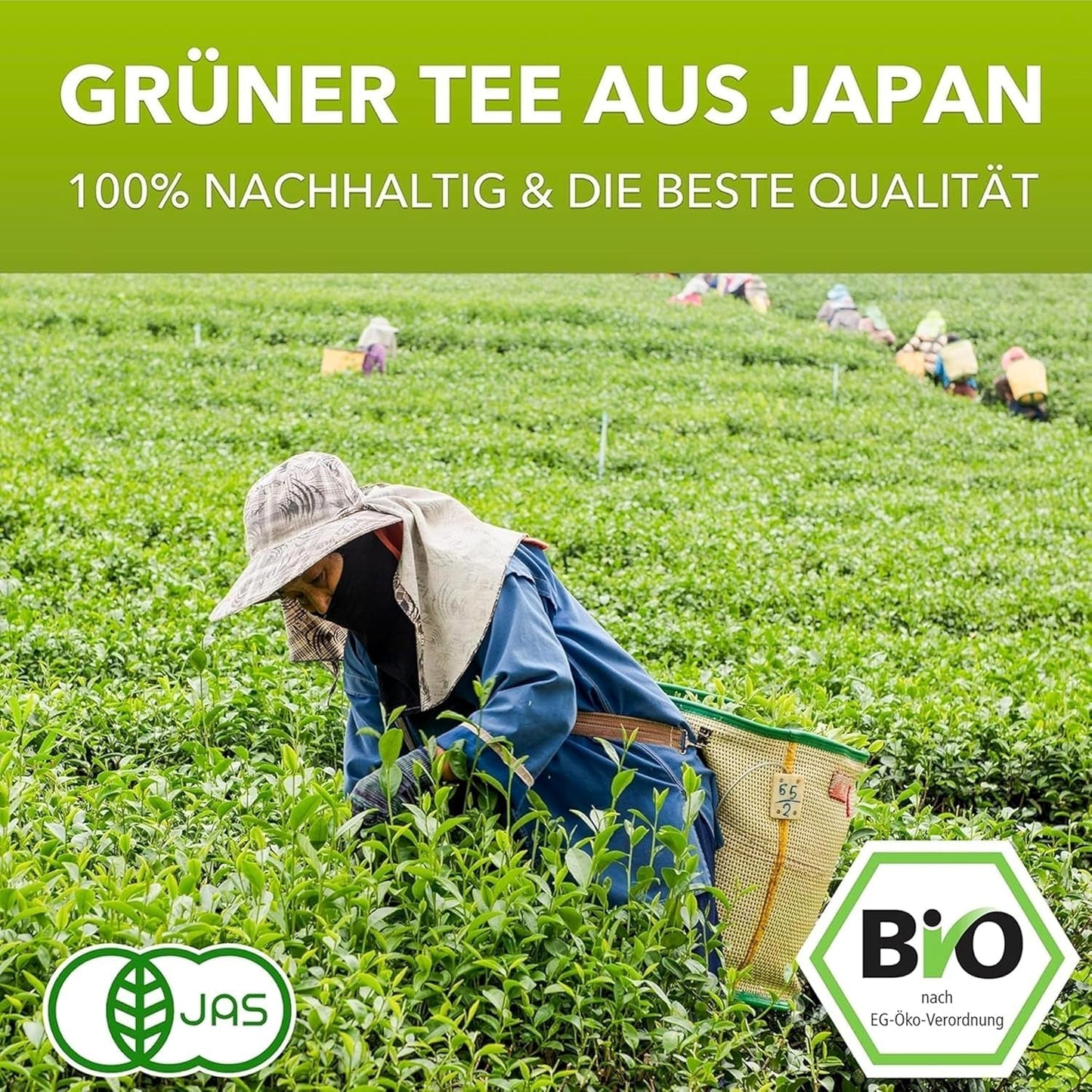 Matchamagic: matcha latte en polvo orgánico de Japón con azúcar de flor de coco para un delicioso té