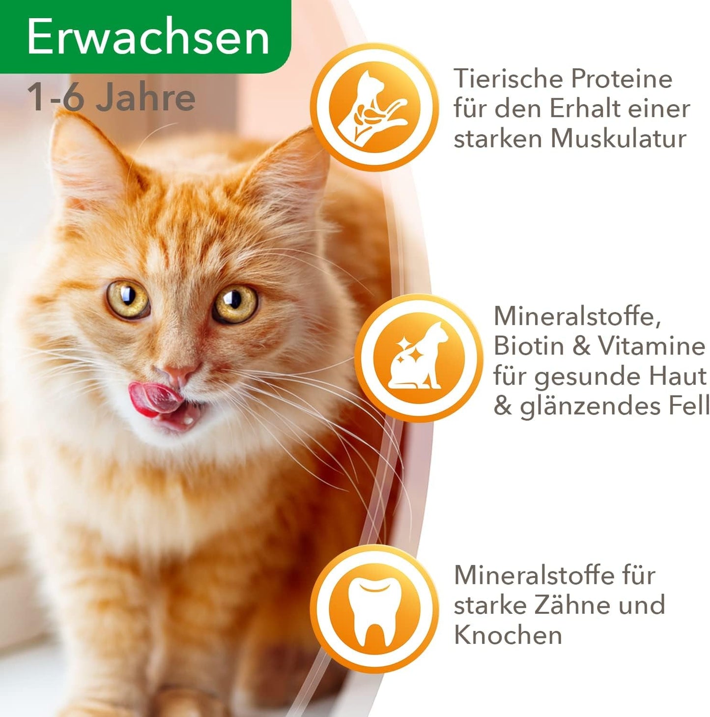 IAMS Delights Comida Húmeda para Gatos con Carne Jugosa y Zanahorias en Gelatina - Comida Húmeda Completa para Gatos Adultos, 24 Sobres x 85g