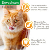 IAMS Delights Comida Húmeda para Gatos con Carne Jugosa y Zanahorias en Gelatina - Comida Húmeda Completa para Gatos Adultos, 24 Sobres x 85g