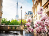 Ravensburger Puzzle 12000366 - Primavera en París - Puzzle de 500 piezas para adultos y niños mayores de 12 años Puzzle Naty Shop Scenic