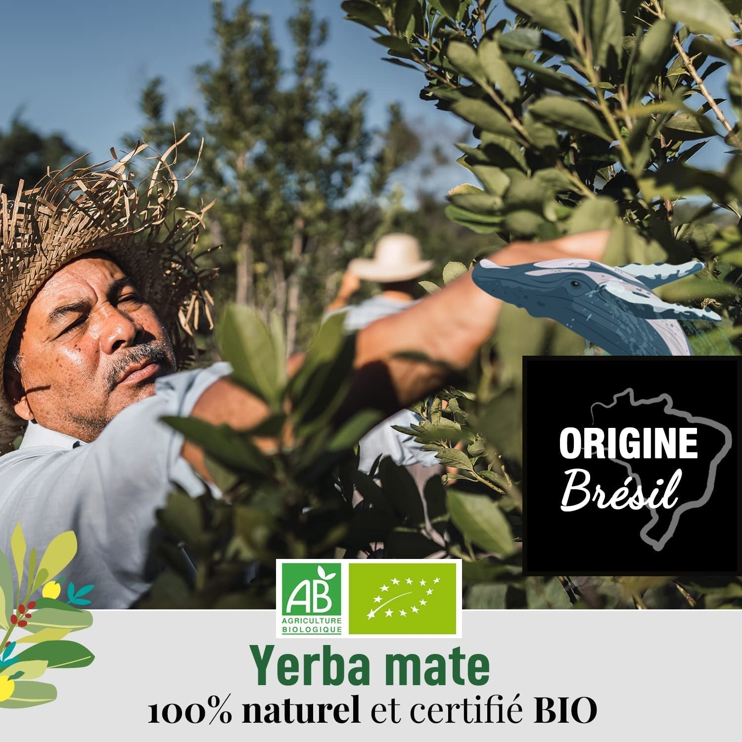 ORIGEENS YERBA MATE BIO CON MENTA Y LIMÓN 200 G - Frescura I Yerba Mate Bio Sin Tostar, hojas, sin tallos y sin polvo