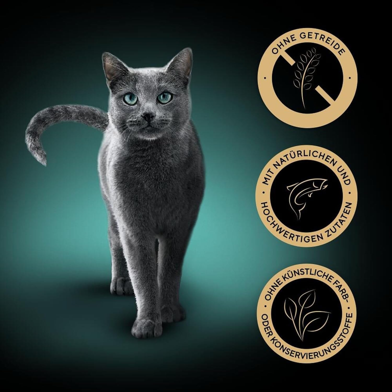 SHEBA Comida Húmeda para Gatos, Colección Nature's en Salsa de Salmón, 2 x 11 x 85 g