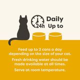 Applaws Selección de caldo de pollo para gatos adultos, alimento húmedo premium 100 % natural, paquete de 4 cajas (12 x 70 g)