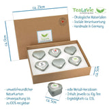 Tealavie Juego de regalo de 6 tés de frutas (60 g) Juego de muestra Caja de regalo Ideas de regalos de agradecimiento para mujeres colegas Día de la madre 2024