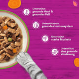 WHISKAS TASTY MIX Nassfutter en salsa para Katzen 40 x 85 g Elección del chef
