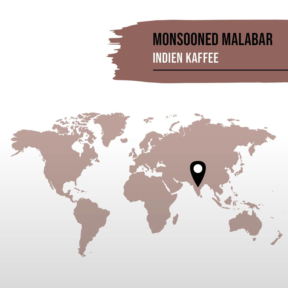 STARKER TOBAK Café Malabar Monzón, grano entero, tostado a mano - tostado medio, India, 100% arábica, apto para café filtrado, prensa francesa, cafeteras totalmente automáticas, suave para el estómago - acidez extra baja